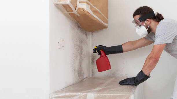 Professional Mold Removal technician working in Aurora, MN