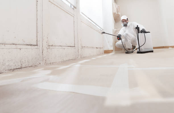 24/7 Emergency Mold Removal experts in Aurora, MN